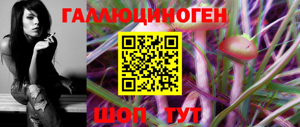 Галлюциногенные грибы Psilocybe Бердск